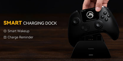 Interactive Screen Wireless Gaming Controller For PC/Switch/iOS/Android/Steam Deck, Hall Effect Stick & Trigger, RGB Lighting, Remappable Buttons, 1800mAh With Charging Dock -V2/Black(No Drift), [Notice]Not Compatible With Xb